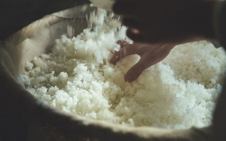 甘夏 リキュール 初恋 500ml 2本セット 【千代の園酒造 株式会社 】[ZAI044]