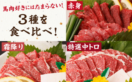 馬刺し バラエティセット 3種類 ?3・4人前? ＋タレ小【馬刺しの郷 民守】 肉 馬肉 馬 熊本県 特産品 特産 3種馬刺し 馬刺しセット 馬刺 熊本馬刺し タレ付き馬刺し   [ZBL014]