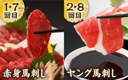 【12回定期便】毎月違う部位が届く！【馬刺しの郷 民守】 赤身 ヤング 霜降り馬刺し 食べ比べ  [ZBL020]