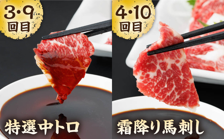 【12回定期便】毎月違う部位が届く！【馬刺しの郷 民守】 赤身 ヤング 霜降り馬刺し 食べ比べ  [ZBL020]