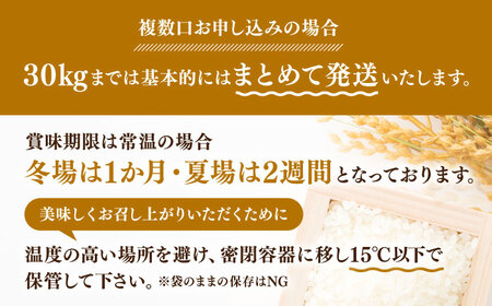 全12回定期便】森のくまさん 無洗米 10kg（5kg×2袋）【有限会社 農産