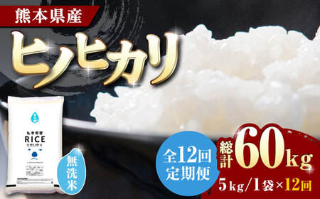 全12回定期便】 ヒノヒカリ 無洗米 5kg【有限会社 農産ベスト