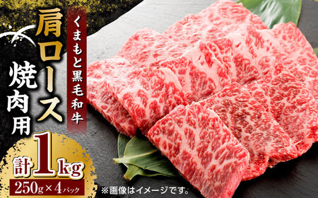 くまもと黒毛和牛 焼肉用 肩ロース 1000g（250g×4pc）【馬刺しの郷 民守】 熊本県産 九州産 和牛 肩ロース焼き肉 [ZBL034]