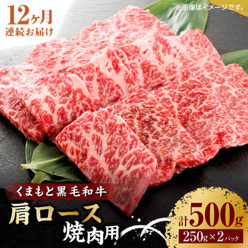 【12回定期便】くまもと黒毛和牛 焼肉用 肩ロース 500g（250g×2pc）【馬刺しの郷 民守】 熊本県産 九州産 和牛 お肉 肉 バラ 黒毛和牛 肩ロース 焼き肉  [ZBL120]