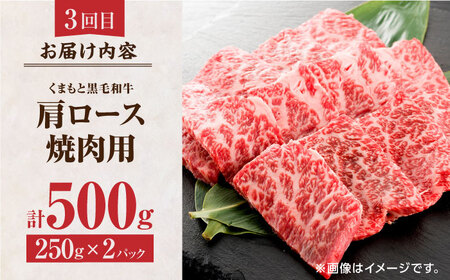 【6回定期便】くまもと黒毛和牛 贅沢定期便（ステーキ すき焼き しゃぶしゃぶ 焼肉）【馬刺しの郷 民守】 和牛 サーロイン ヒレ 肩ロース すき焼き 焼肉用 しゃぶしゃぶ  [ZBL036]