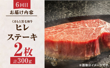 【6回定期便】くまもと黒毛和牛 贅沢定期便（ステーキ すき焼き しゃぶしゃぶ 焼肉）【馬刺しの郷 民守】 和牛 サーロイン ヒレ 肩ロース すき焼き 焼肉用 しゃぶしゃぶ  [ZBL036]