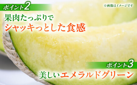 先行予約】 肥後グリーン メロン 2玉【合同会社 福福堂】熊本 国産