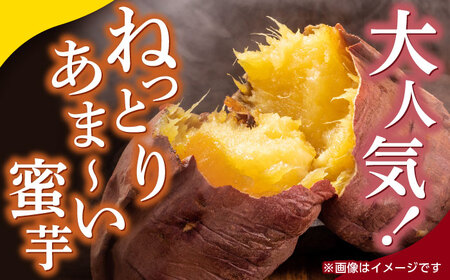 先行予約】蔵出し 熟成 紅はるか さつまいも 約5kg サイズ