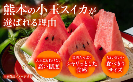 【先行予約】肥後グリーンメロン&小玉すいか各1玉熊本メロンスイカZCN004