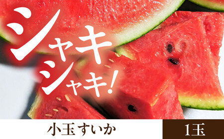 【数量限定】【先行予約】肥後グリーン メロン 1玉＆小玉 すいか 1玉【合同会社 福福堂】めろん スイカ 熊本 メロン スイカ セット グリーンメロン 小玉すいか [ZCN004]