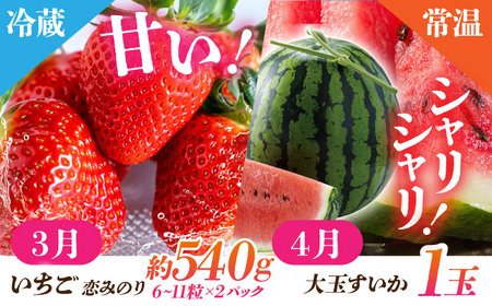 【先行予約】【6回定期便】 フルーツの名産地 山鹿から直送のあま～い幸せ 熟成芋と旬のフルーツ [ZZZ002]  さつまいも みかん いちご すいか メロン ブルーベリー