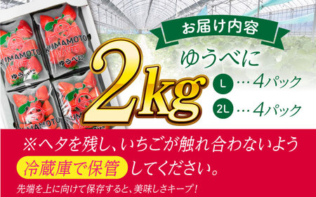 AMOTOさま ご確認ページ はろ