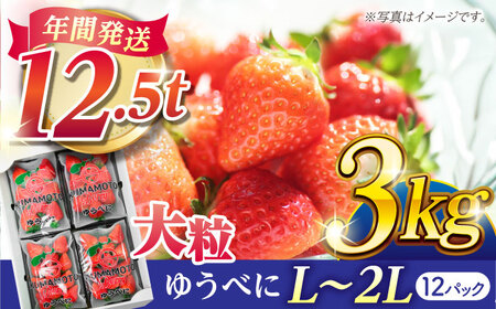 大粒いちご L~2L ゆうべに 3kg（12pc）【熊本ベリー】フルーツ 果物 くだもの いちご イチゴ 苺 ゆうべに 大粒いちご 国産いちご 熊本県産いちご 九州産いちご ゆうべにいちご 熊本いちご こだわりいちご おおつぶいちご くまもといちご Lサイズいちご ２Lサイズいちご 山鹿いちご   [ZER003]