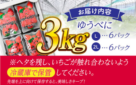 大粒いちご L~2L ゆうべに 3kg（12pc）【熊本ベリー】フルーツ 果物 くだもの いちご イチゴ 苺 ゆうべに 大粒いちご 国産いちご 熊本県産いちご 九州産いちご ゆうべにいちご 熊本いちご こだわりいちご おおつぶいちご くまもといちご Lサイズいちご ２Lサイズいちご 山鹿いちご   [ZER003]