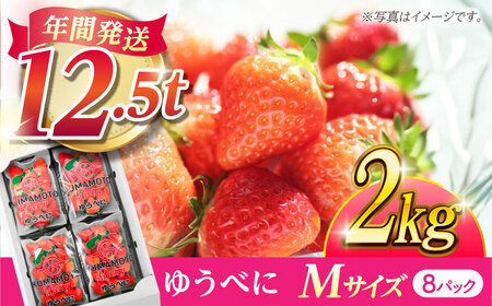 熊本いちごMサイズゆうべに2kg(8p)イチゴ苺国産ゆうべにいちごZER008
