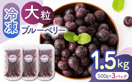 大粒 冷凍ブルーベリー 約1500g（約500g×3pc） 【すみれファーム】果物 フルーツ くだもの 大粒 小分け 熊本県産ブルーベリー  [ZEP008] 6,750円