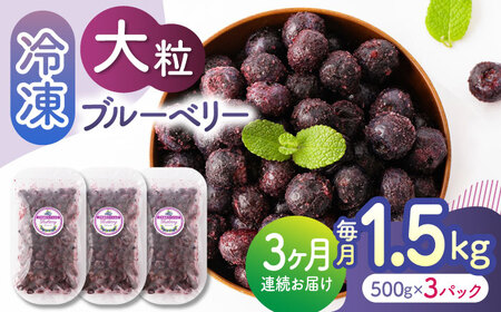 【3回定期便】大粒 冷凍ブルーベリー 約1500g（約500g×3pc）【すみれファーム】果物 フルーツ くだもの 大粒 小分け 熊本県産ブルーベリー [ZEP013]