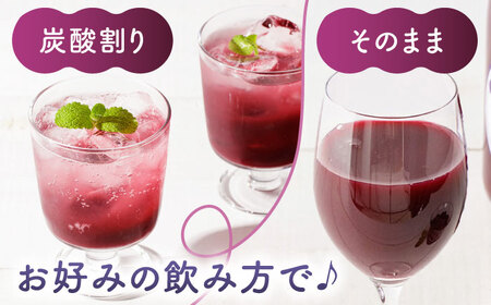 ブルーベリージュース 2本セット 【すみれファーム】ブルーベリー果汁 ジュース ジュースセット 熊本 [ZEP020]