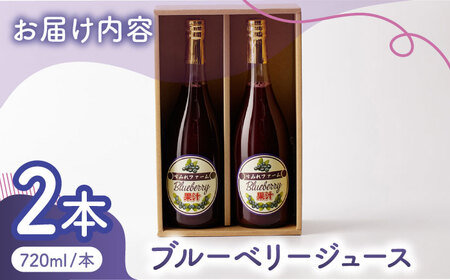 ブルーベリージュース 2本セット 【すみれファーム】ブルーベリー果汁 ジュース ジュースセット 熊本 [ZEP020]