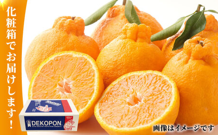 デコポン 約5kg化粧箱入り 果物フルーツ柑橘熊本県産デコポンZCJ003