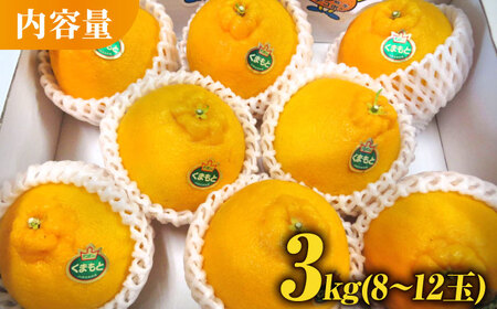 デコポン 約3kg化粧箱入 果物フルーツ柑橘熊本県産デコポンZCJ002]