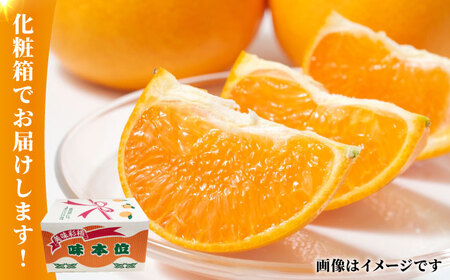 みかん 約5kg化粧箱入り 熊本みかん果物フルーツ柑橘ZCJ004
