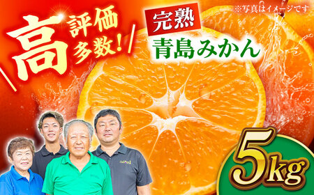 完熟 青島 みかん 約5kg【合同会社 社方園】九州産みかん ミカン 柑橘  国産  山鹿 果物 フルーツ [ZBZ003]