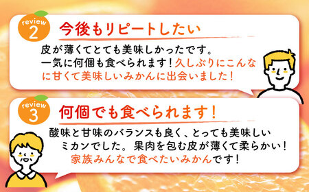 完熟 青島 みかん 約5kg【合同会社 社方園】九州産みかん ミカン 柑橘  国産  山鹿 果物 フルーツ [ZBZ003]