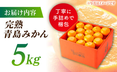 完熟 青島 みかん 約5kg【合同会社 社方園】九州産みかん ミカン 柑橘  国産  山鹿 果物 フルーツ [ZBZ003]