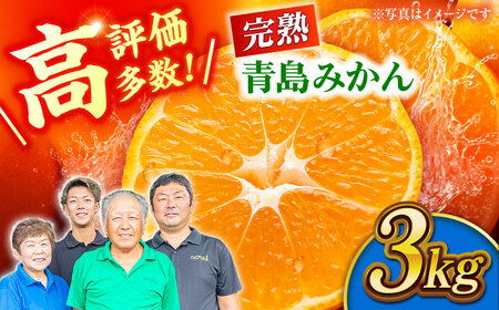 完熟 青島 みかん 約3kg【合同会社 社方園】九州産みかん ミカン 柑橘  国産  山鹿 果物 フルーツ [ZBZ011]