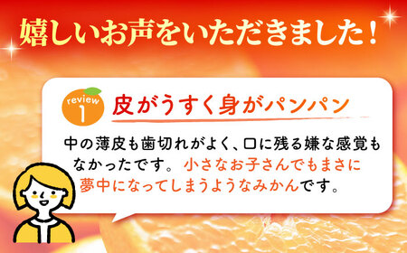 完熟 青島 みかん 約3kg【合同会社 社方園】九州産みかん ミカン 柑橘  国産  山鹿 果物 フルーツ [ZBZ011]