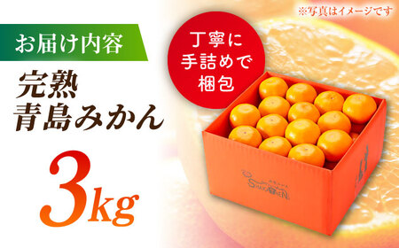 完熟 青島 みかん 約3kg【合同会社 社方園】九州産みかん ミカン 柑橘  国産  山鹿 果物 フルーツ [ZBZ011]