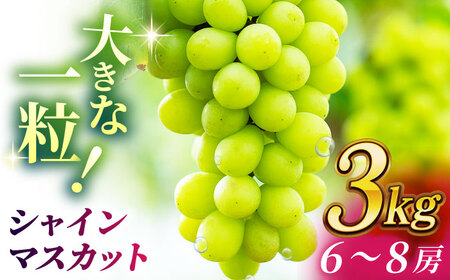 【2026年発送先行予約】シャインマスカット 3kg(6～8房)【合同会社 社方園】ぶどう 大粒  熊本 期間限定  マスカット [ZBZ014]ぶどう・マスカット