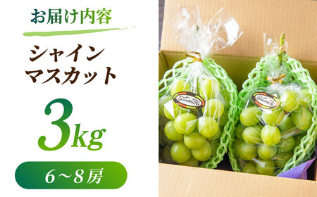【2026年発送先行予約】シャインマスカット 3kg(6～8房)【合同会社 社方園】ぶどう 大粒  熊本 期間限定  マスカット [ZBZ014]