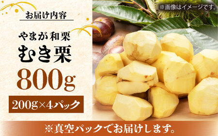 【先行予約】やまが和栗 大粒むき栗 800g（200g×4pc）小分け【古川農園】栗 小分け むき栗 大粒栗 熊本栗 山鹿栗 和栗 くり クリ 冷凍栗 冷凍くり 国産栗 熊本県産栗 冷凍むき栗 大粒栗 真空パック栗   [ZES001]