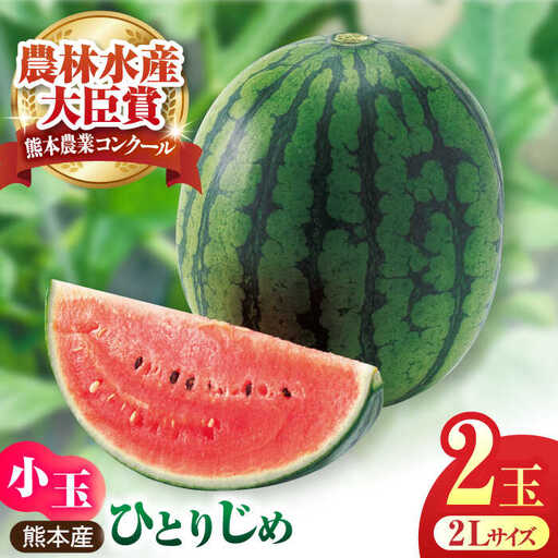 熊本スイカ先行予約 小玉スイカひとりじめ2玉2Lサイズ西瓜すいかZCM011