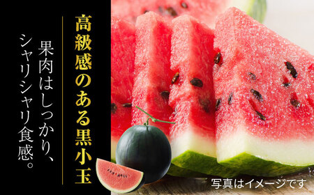 熊本スイカ先行予約 黒小玉すいか4玉2Lサイズ西瓜スイカZCM010