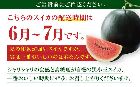 熊本スイカ先行予約 黒小玉すいか4玉2Lサイズ西瓜スイカZCM010