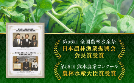 熊本スイカ先行予約 黒小玉スイカ2玉2Lサイズ西瓜すいかZCM009