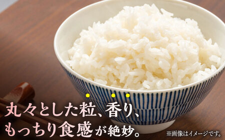 にこまる 白米 計10kg（5kg×2袋）【竹下農園】[ZEL004]