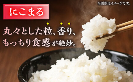 〈令和7年度新米〉ヒノヒカリ・にこまる 白米 食べ比べ 計10kg（5kg×2袋）【竹下農園】[ZEL003]