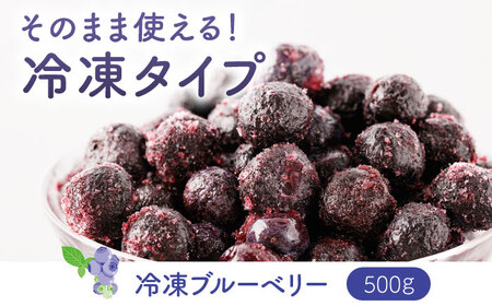 冷凍ブルーベリーとアイスの満喫セット 【すみれファーム】[ZEP032]