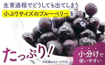 【訳あり】 冷凍ブルーベリー 小粒 1kg（500g×2pc） 【すみれファーム】[ZEP045]