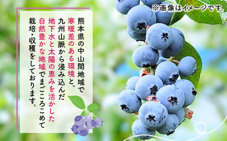 【訳あり】 冷凍ブルーベリー 小粒 1kg（500g×2pc） 【すみれファーム】[ZEP045]