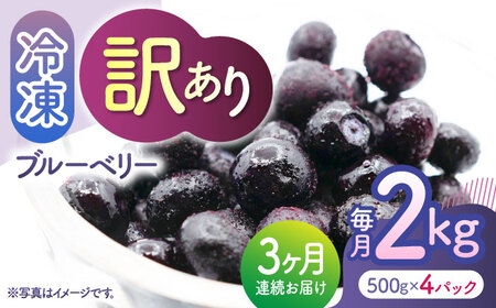 【3回定期便】【訳あり】 冷凍ブルーベリー 小粒 約2kg（約500g×4pc） 【すみれファーム】[ZEP050]