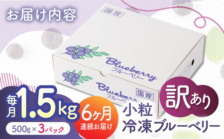 【6回定期便】【訳あり】 冷凍ブルーベリー 小粒 約1.5kg（約500g×3pc） 【すみれファーム】[ZEP052]