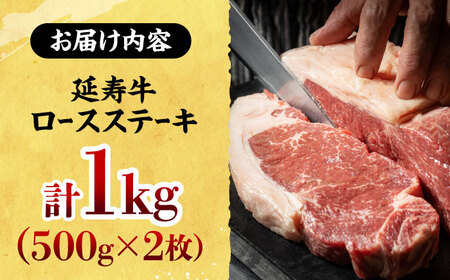 熊本県産 延寿牛 あか牛 ロース ステーキ 約 500g×2枚【有限会社 九州食肉産業】[ZDQ074]