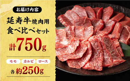 熊本県産 延寿牛 あか牛 焼き肉用 食べ比べ 約 750g【有限会社 九州食肉産業】[ZDQ082]