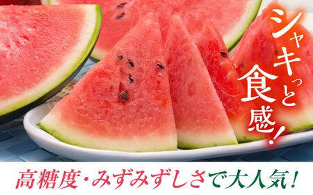 夢大地かもと すいか 1玉 Ｌサイズ（約6kg～6.8kg）【鹿本農業協同組合】[ZAG013]