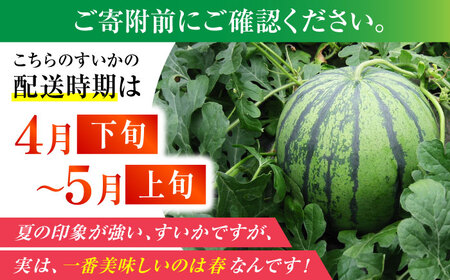 夢大地かもと すいか 1玉 Ｌサイズ（約6kg～6.8kg）【鹿本農業協同組合】[ZAG013]
